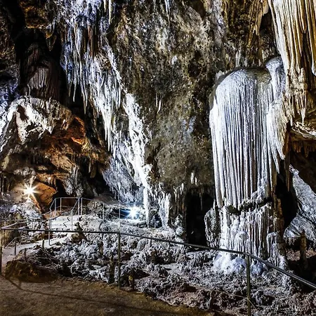 S'olivariu Village Paradise